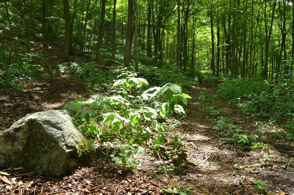 Soldiers' and Children's Plots