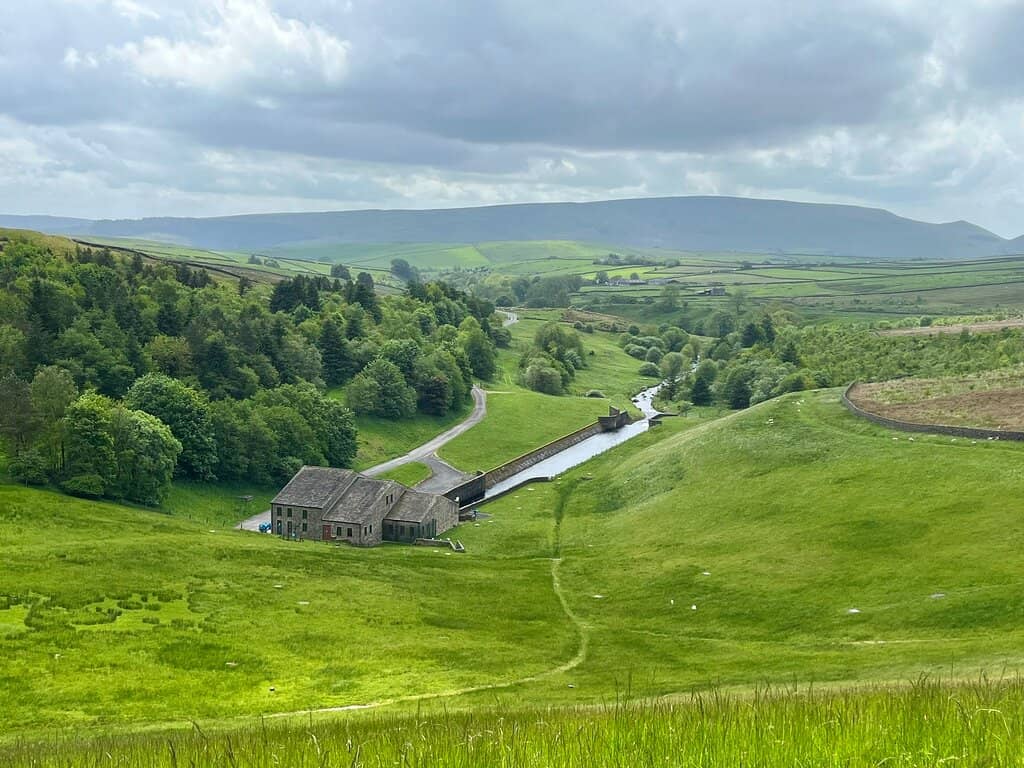 Stony Shoreline Exploration