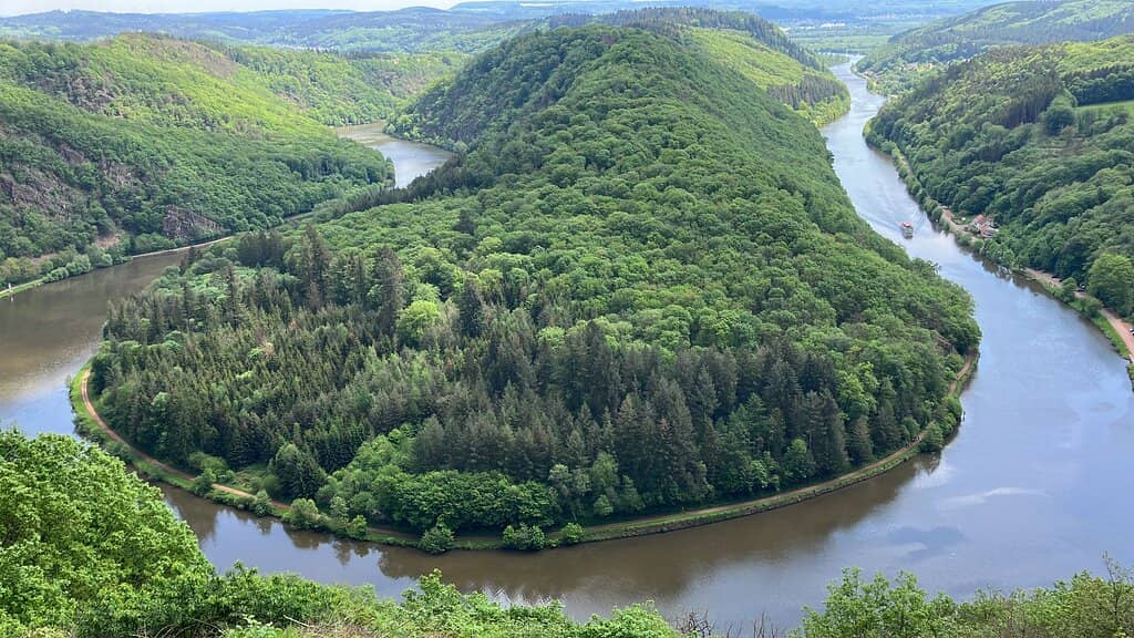 Treetop Walk Saarschleife