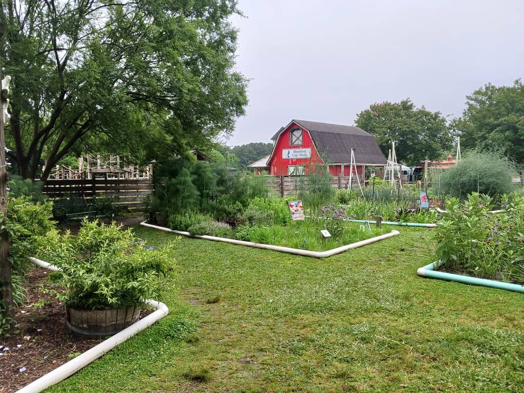 Vibrant Community Gardens