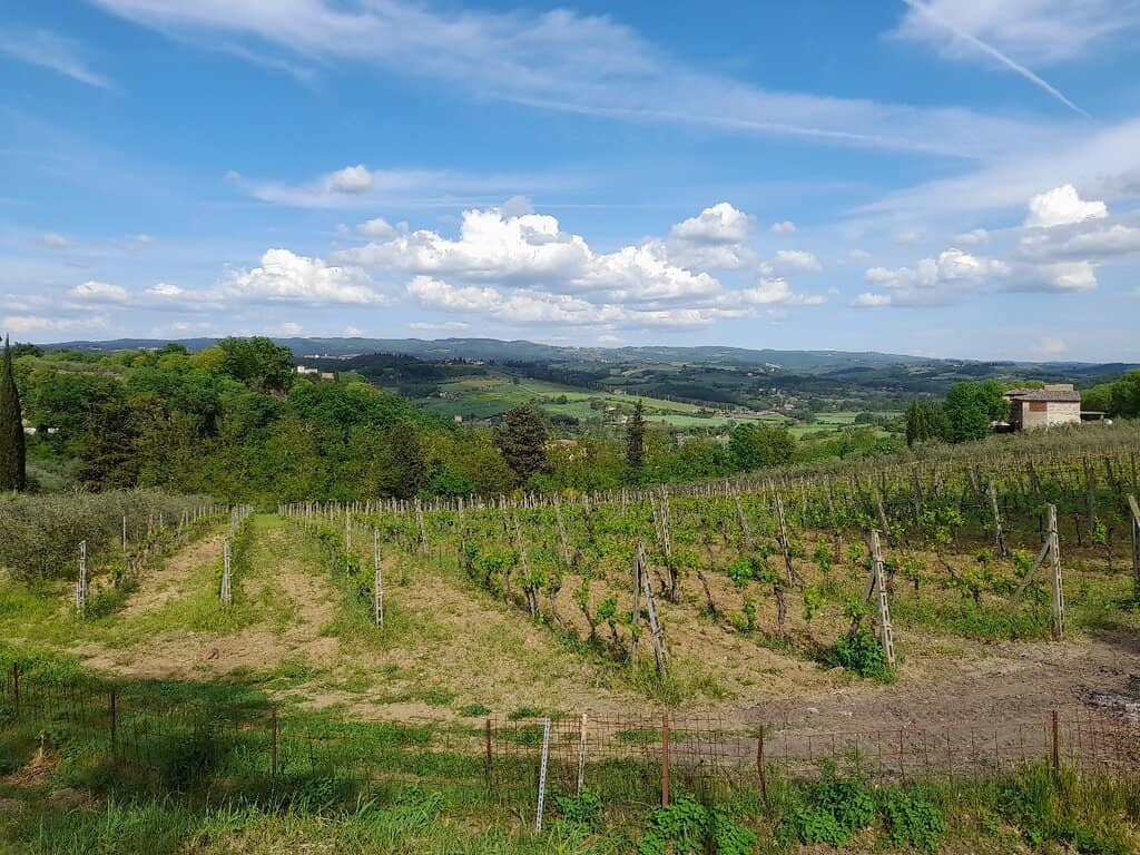 Enoliteca Wine & Olive Oil Tasting