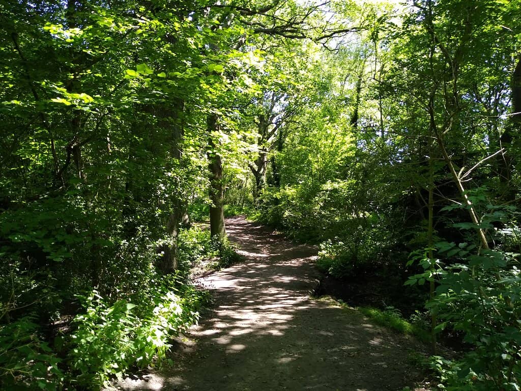 Marked Walking Routes