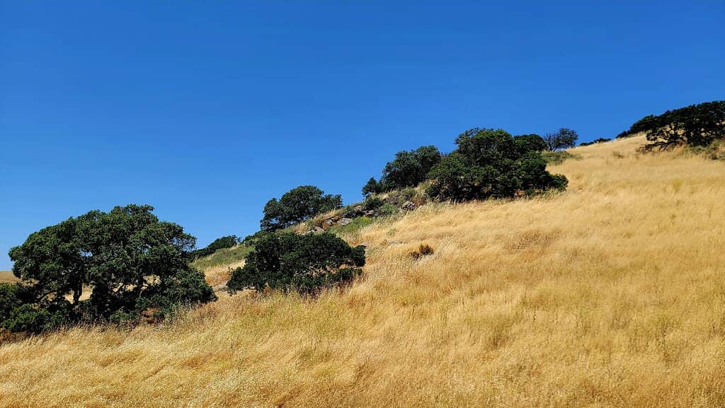Sacred Native American Ground