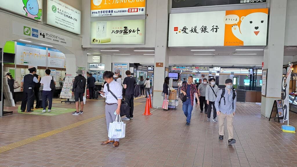 Matsuyama Castle View