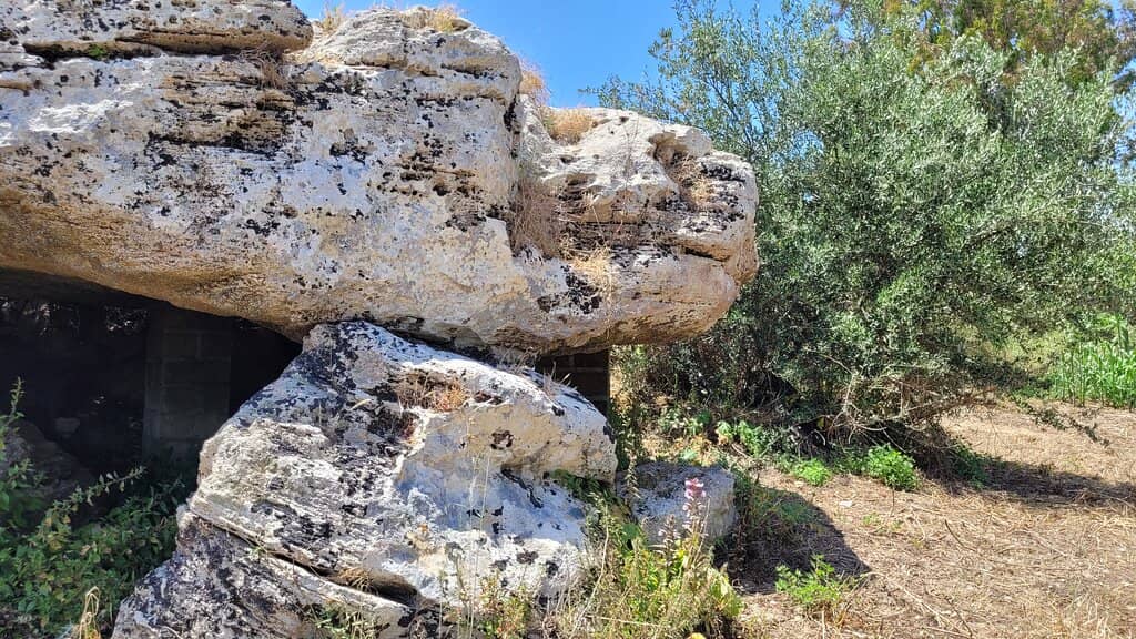 Proximity to the Coast