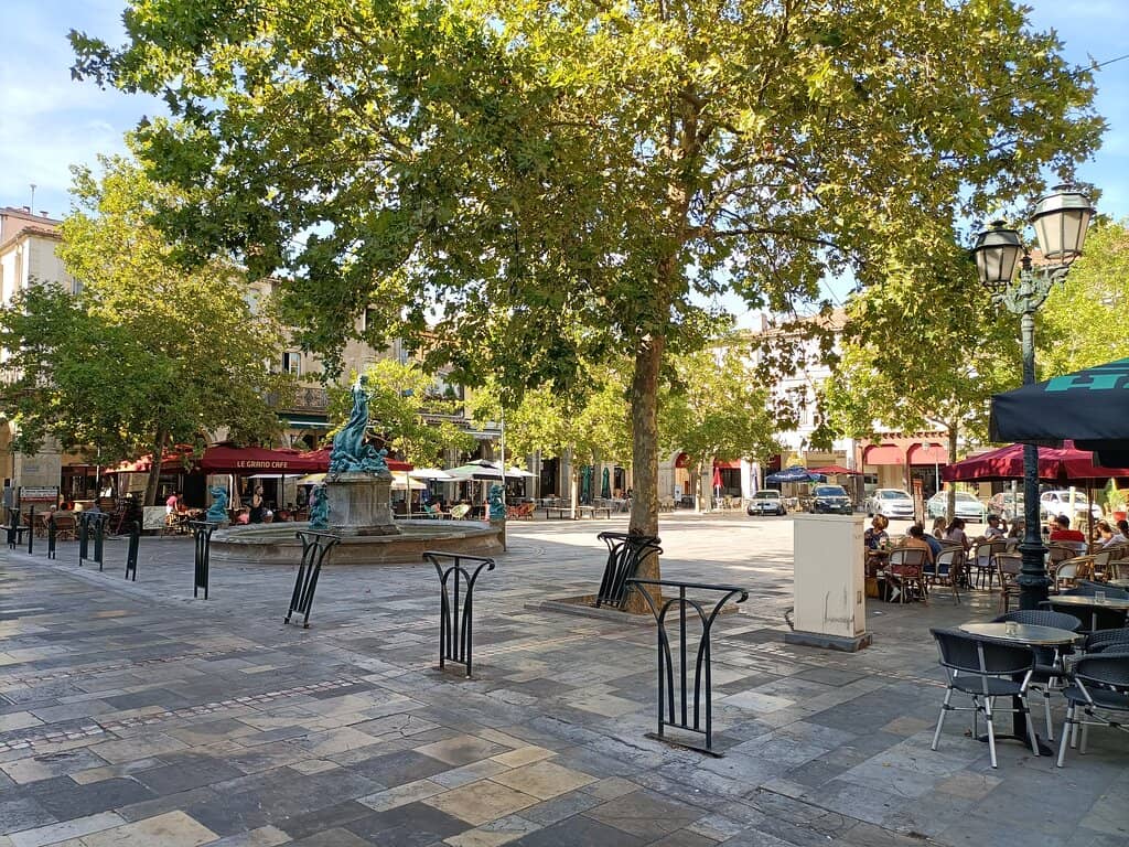 Waitress & Waiter Race