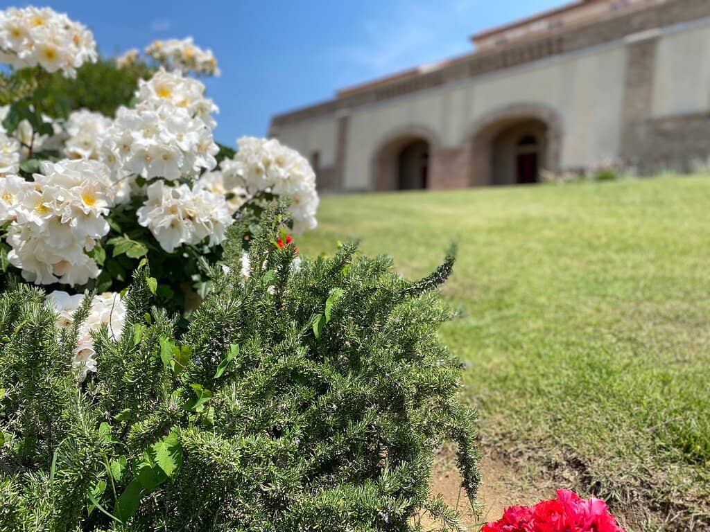 Wine Tasting Experience