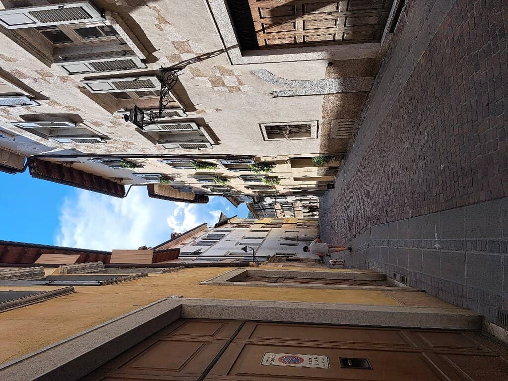 Vibrant Hair Color Transformations