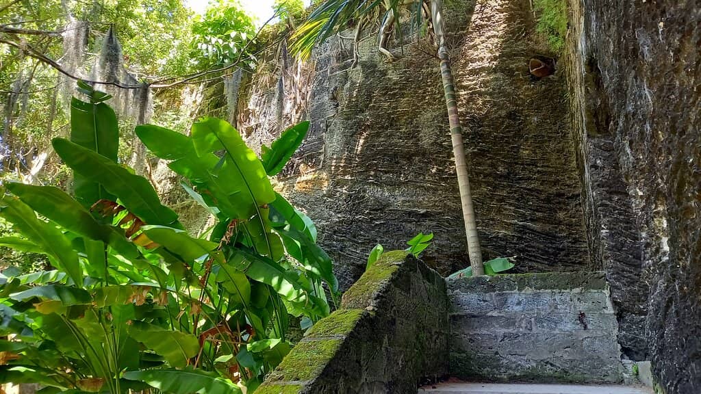 Panoramic Harbour Views