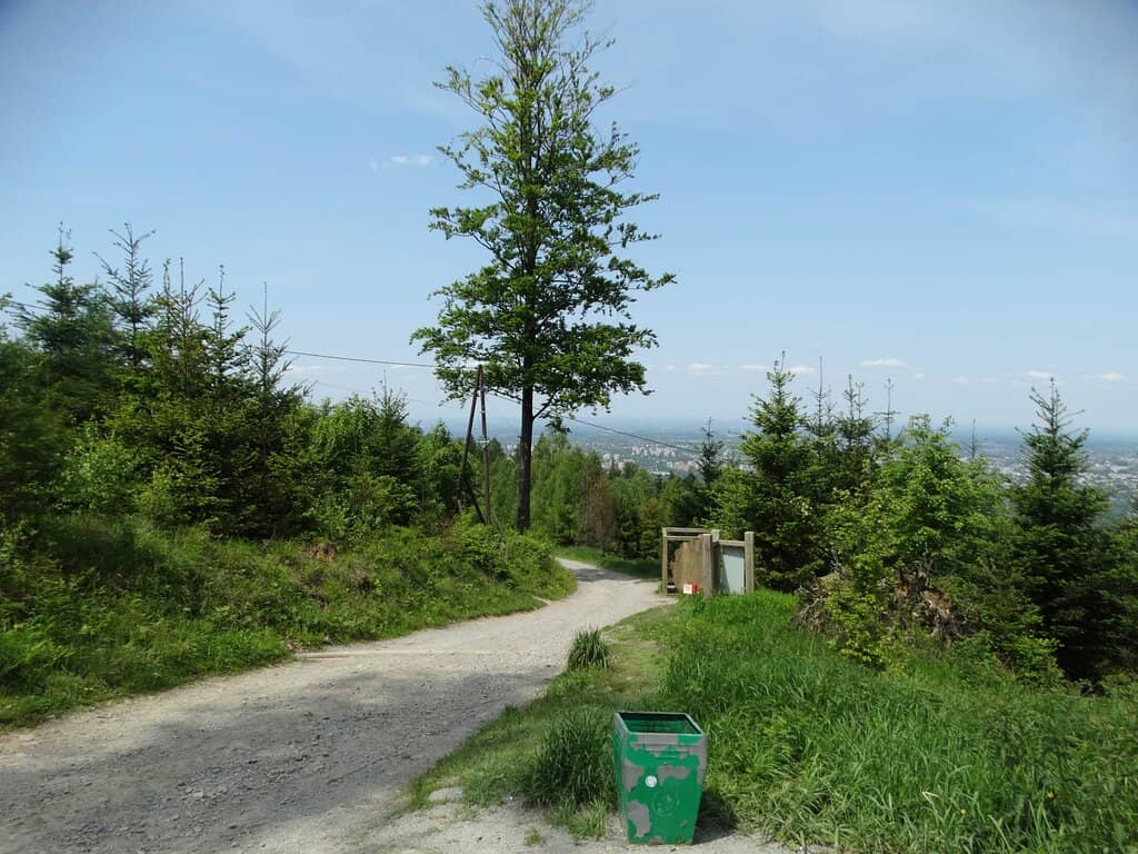 Regenerative Food & Drinks