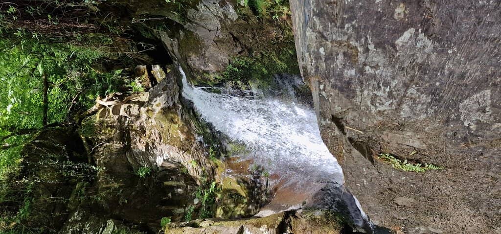 Tranquil Park Trails