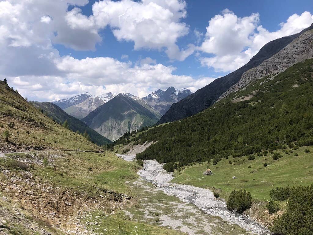 Tranquil Nature Walks