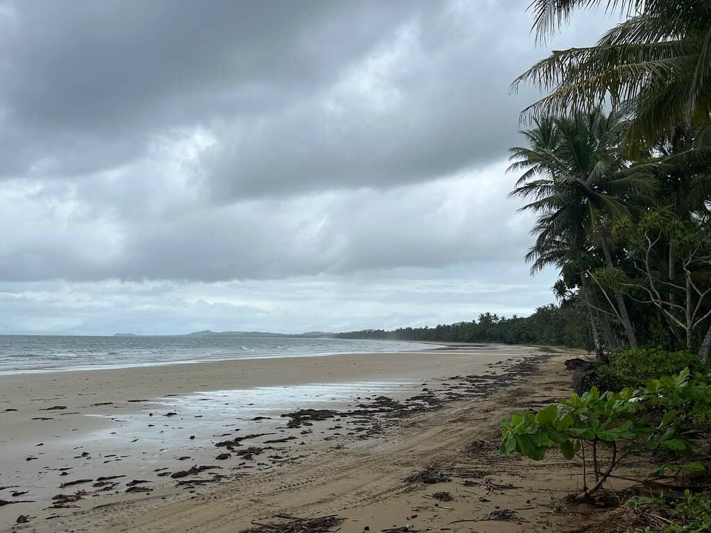 Marine Life Encounters