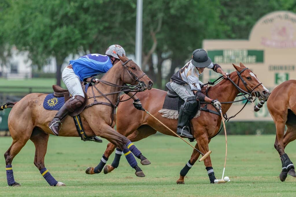 Tailgating Under the Oaks