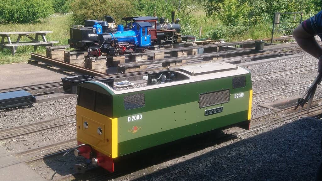 Variety of Steam Locomotives