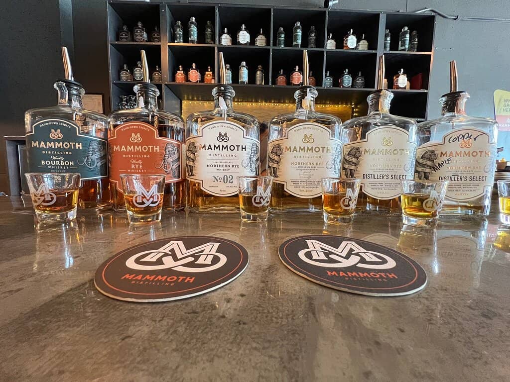 Friendly & Skilled Bartenders