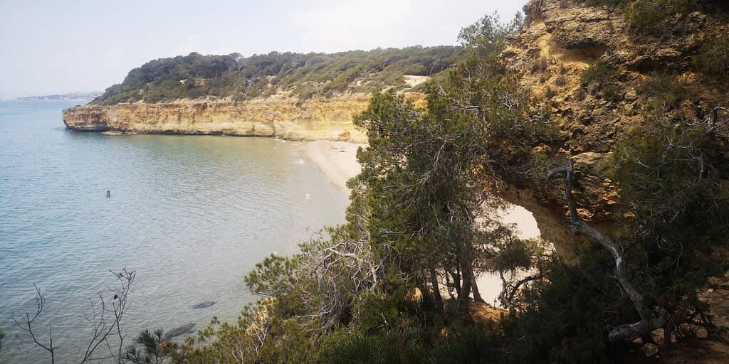 Crystal Clear Waters