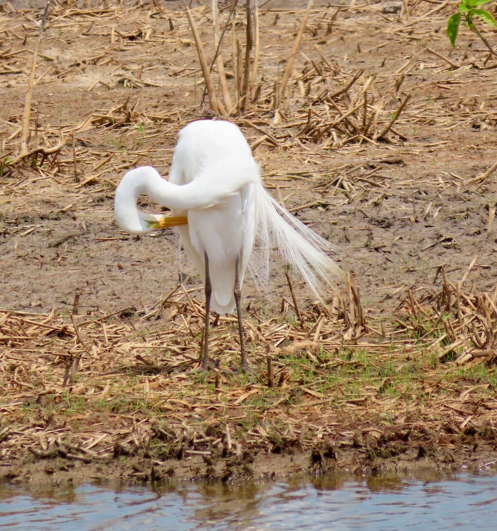 Woodlands and Trails