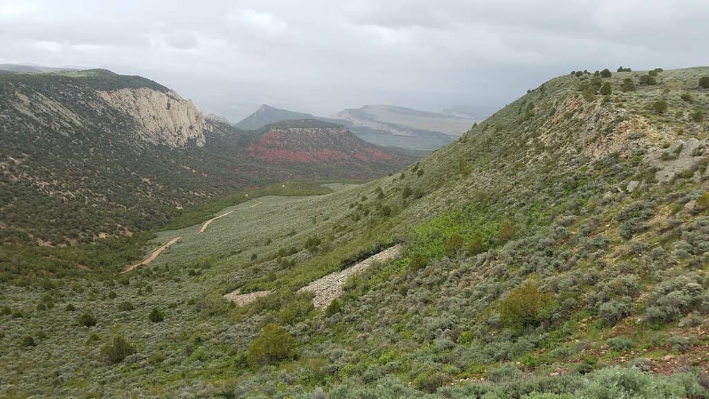 Yampa River Canyon Views