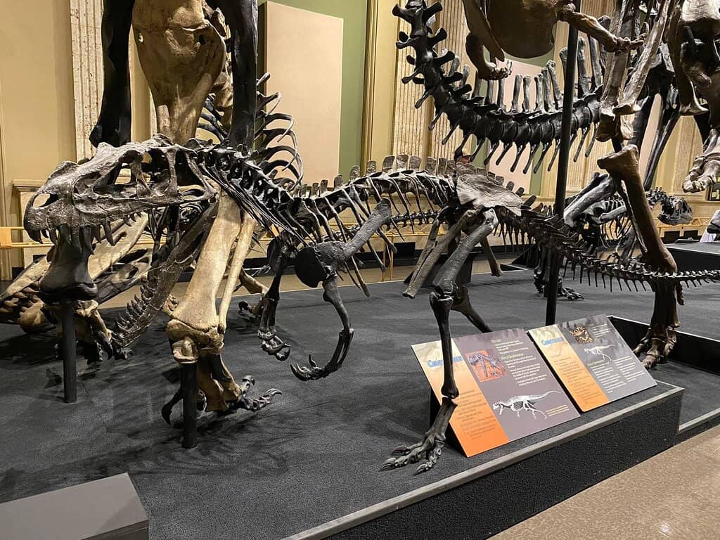 Interactive Kids' Zone