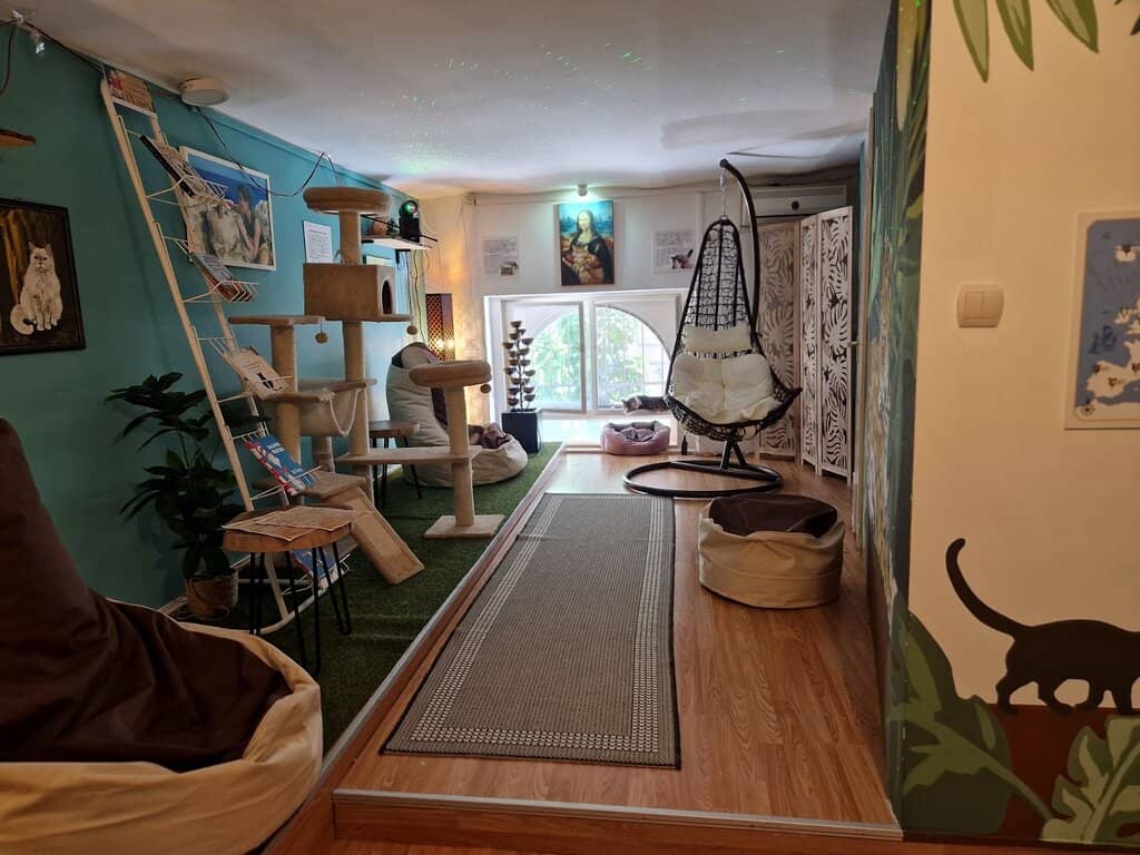 Interactive Games & Prizes