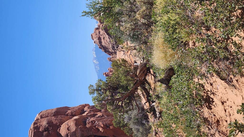 Landscape Arch