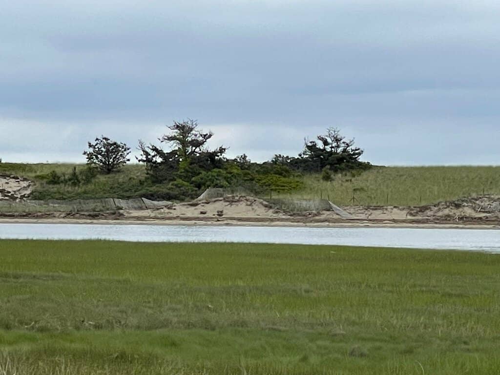 Seasonal Produce Market