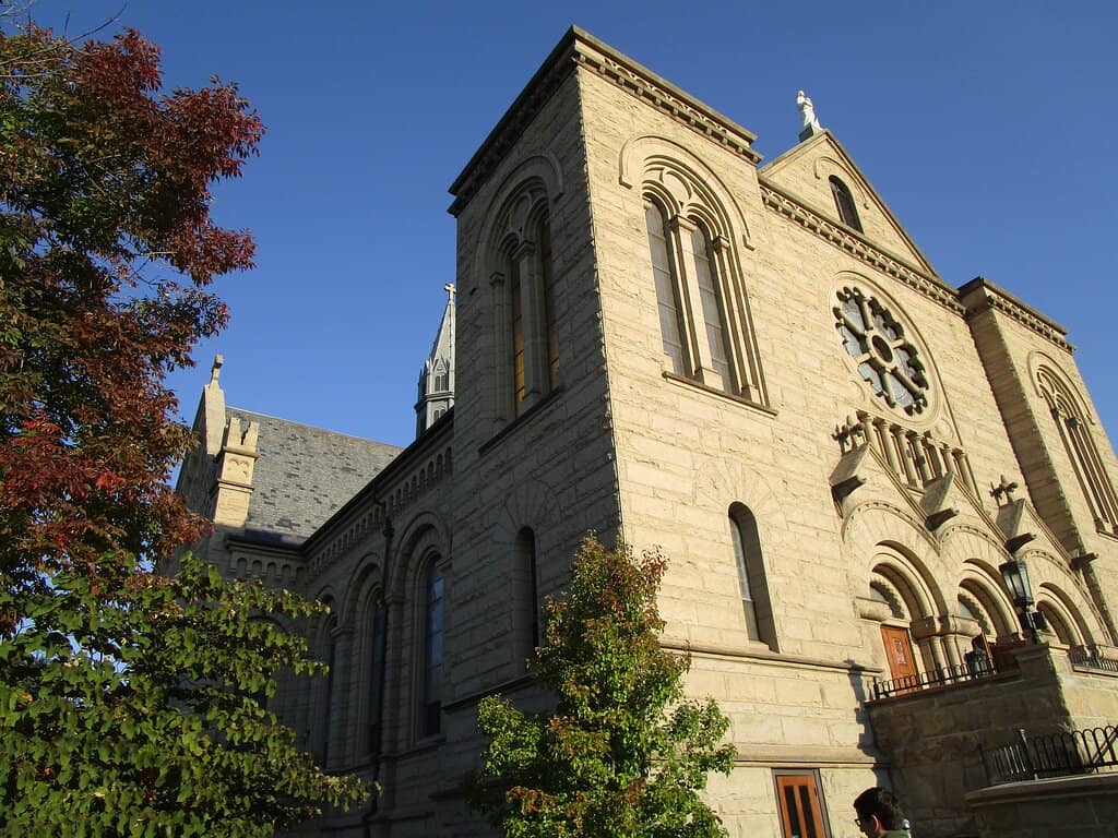 Organ Music Performances