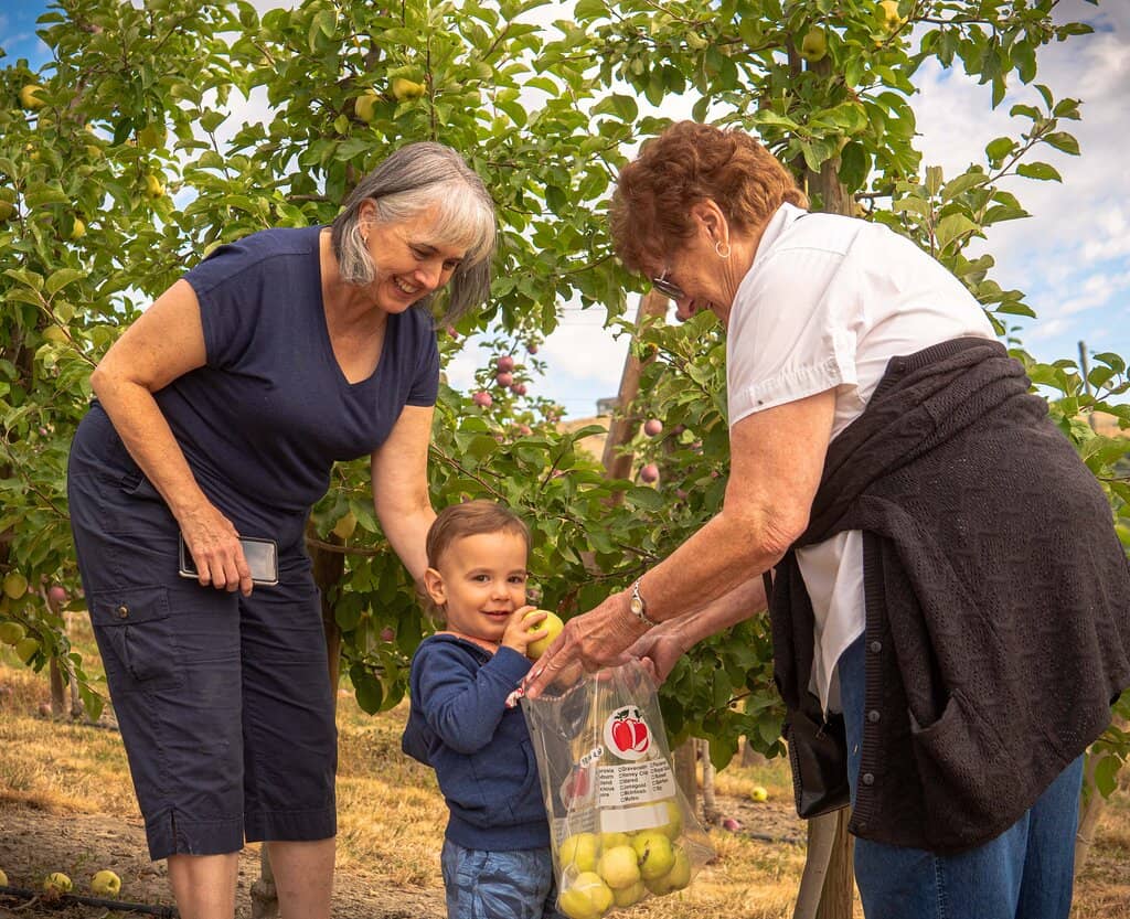 Tractor-Drawn Orchard Tours