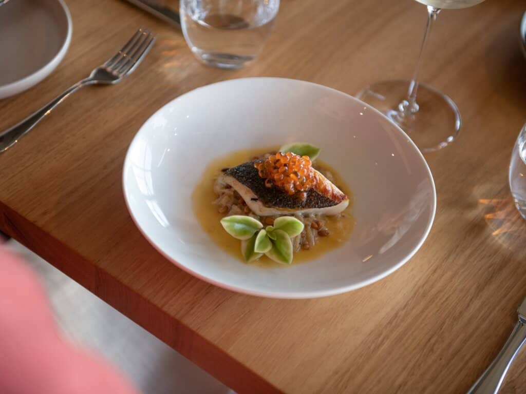 Gourmet Picnic & Dining