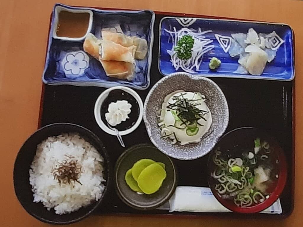 Adorable Seals and Penguins