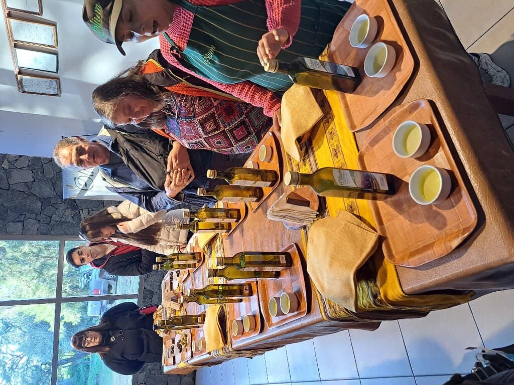 Suspension Bridge Trail