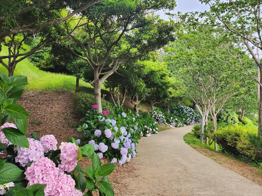 Panoramic Coastal Views
