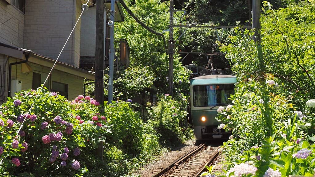 The Iconic Train Crossing