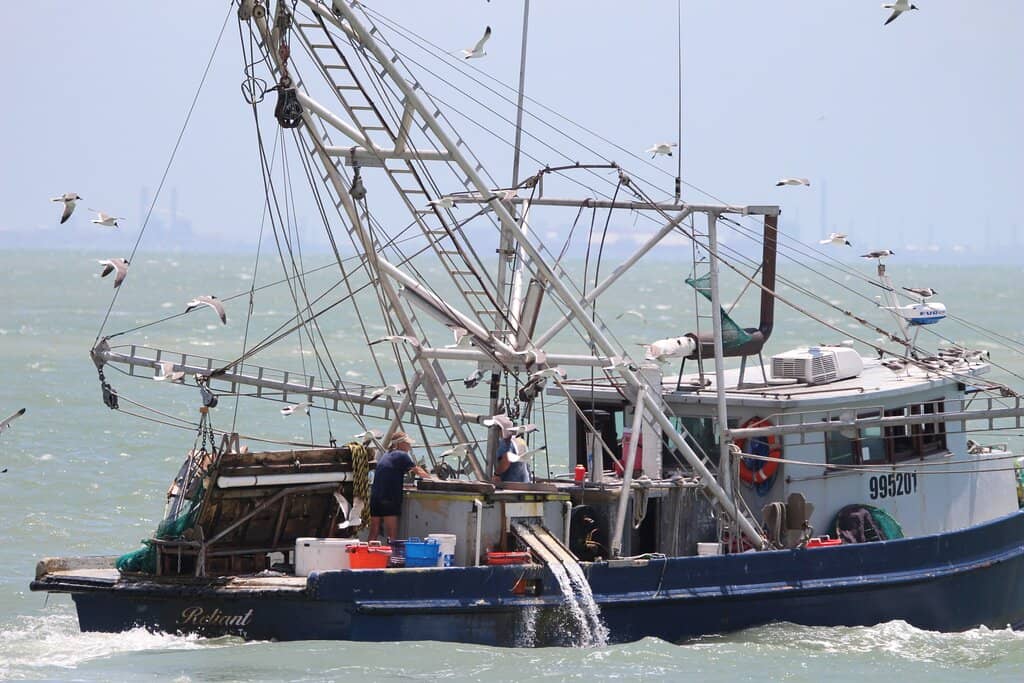 Scenic Bayfront Views