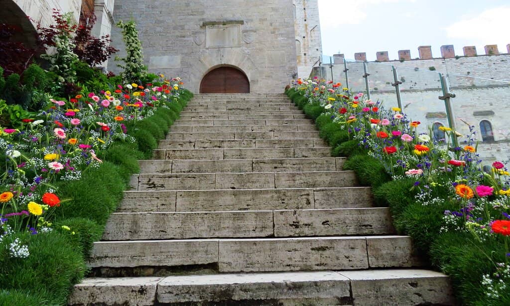 Piazza Matteotti Views