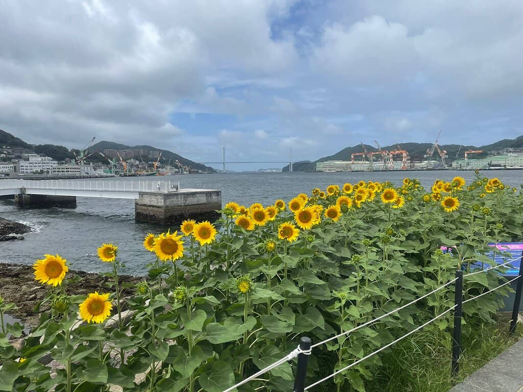Harbor Views & Boat Watching