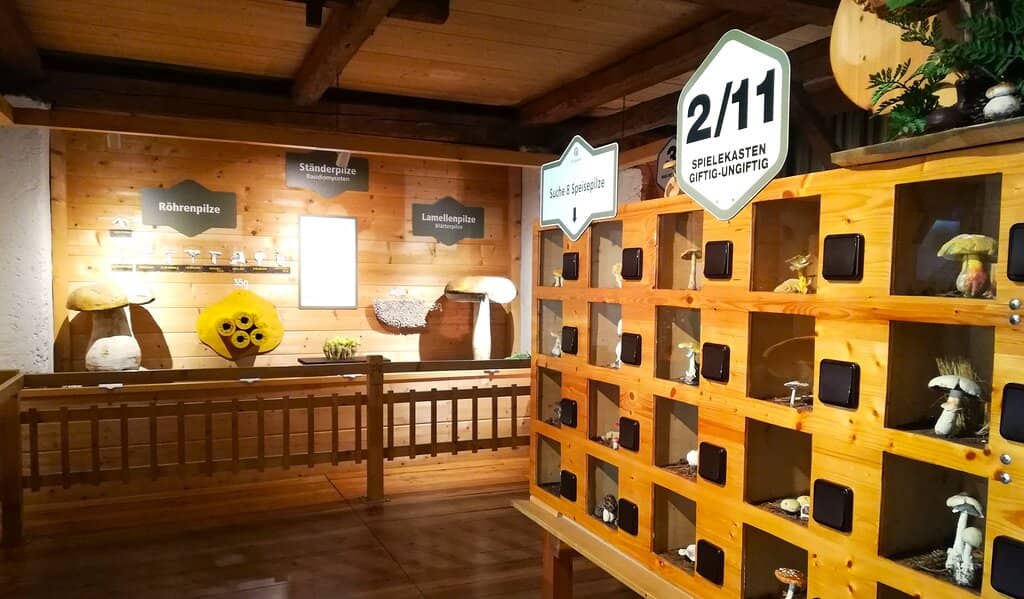 Edible vs. Poisonous Display