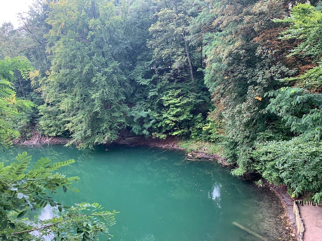 Lakeside Trail Stroll