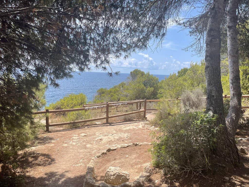 Diverse Flora & Fauna