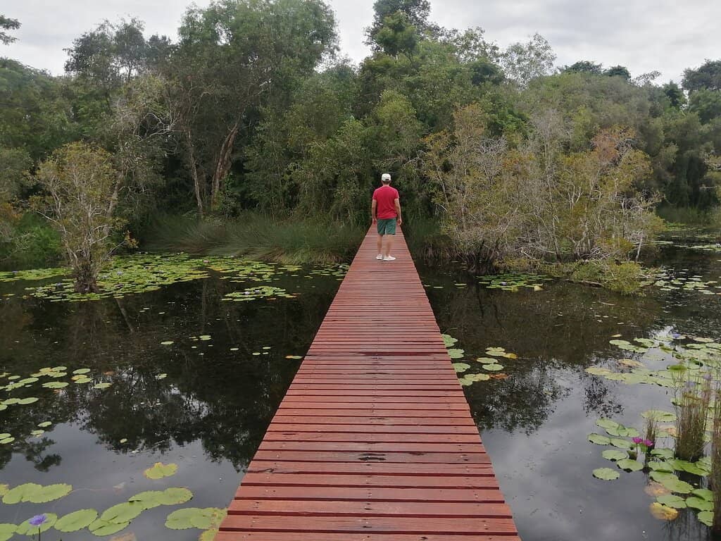 Cycling Nature Trails