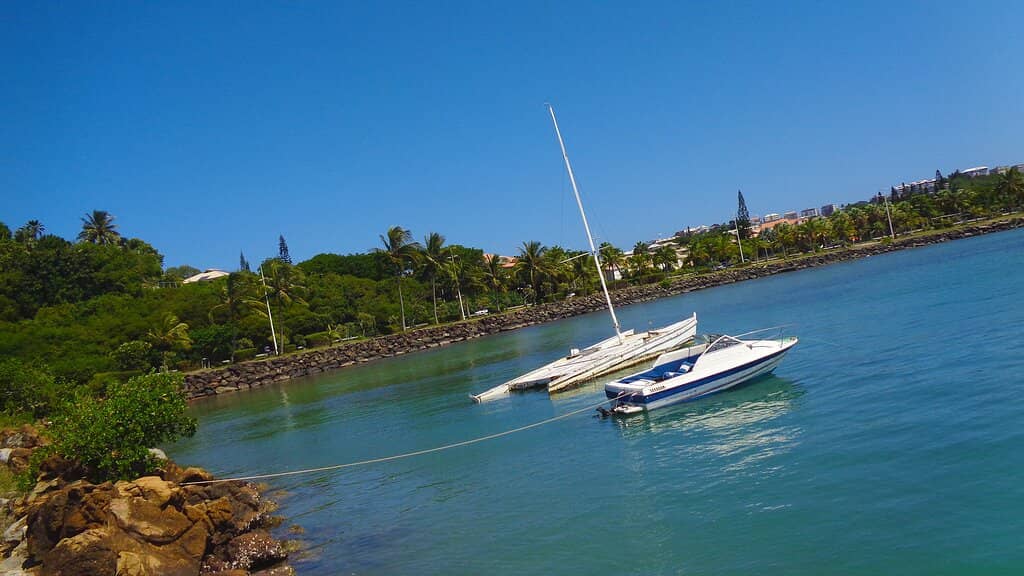 Local Life & Activities