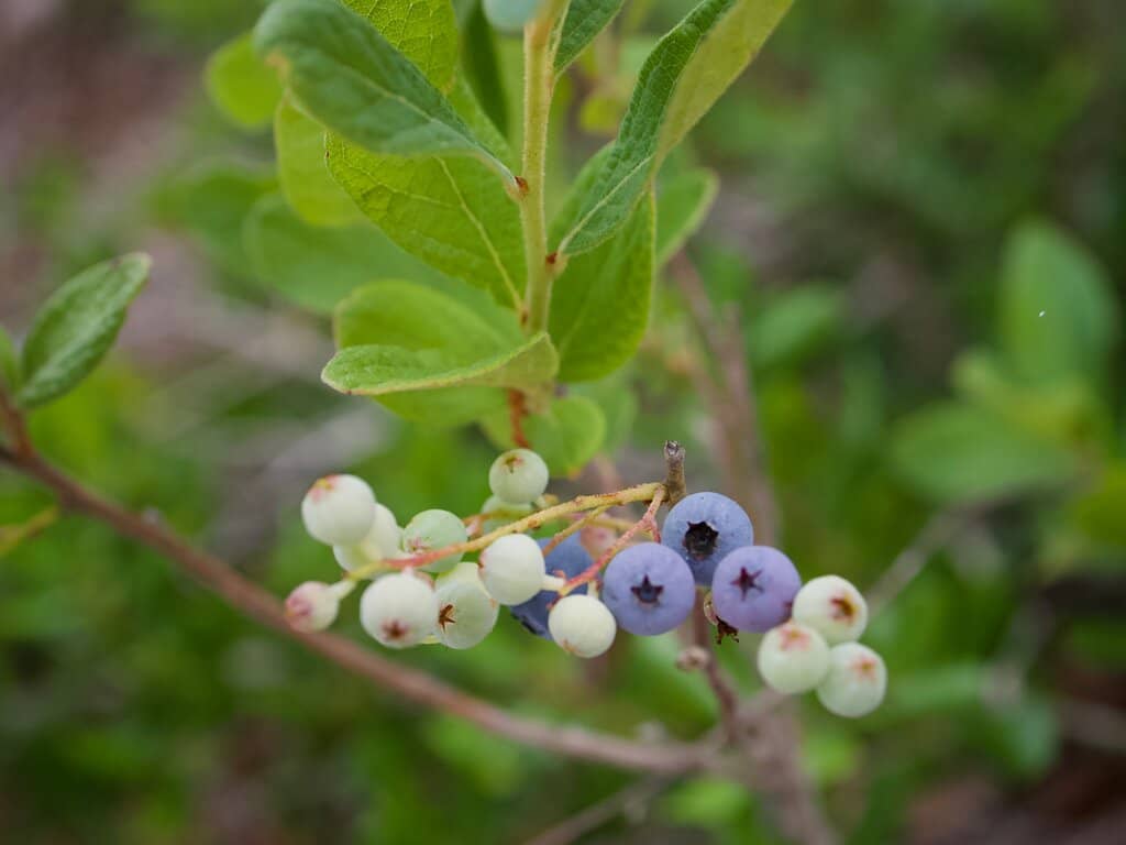 Environmental Center