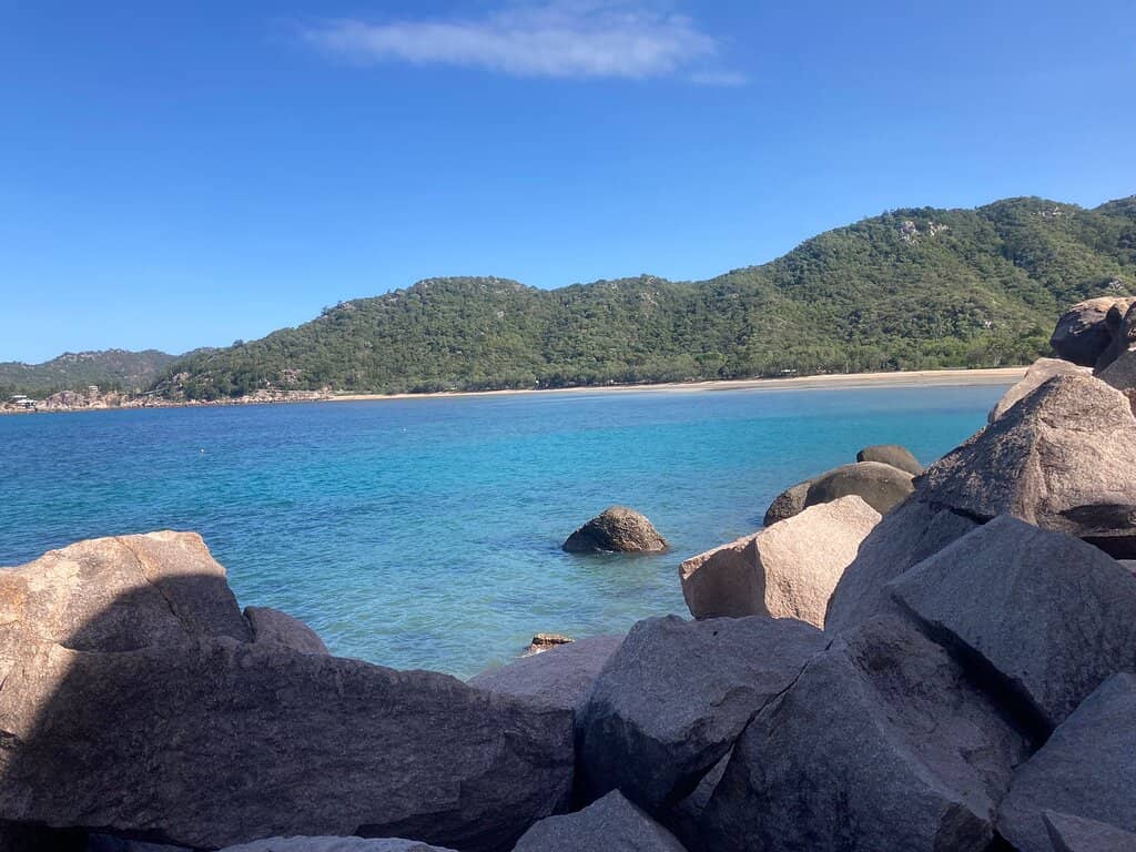 Rock Wallaby Encounters