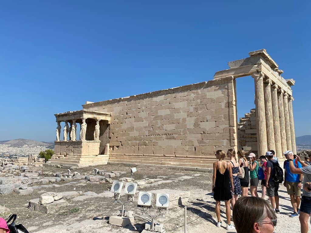 The Olive Tree of Athena