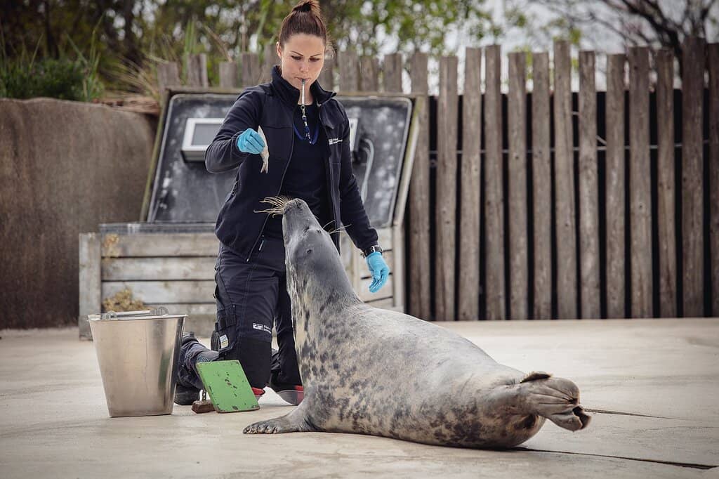 Outdoor Harbor Experience