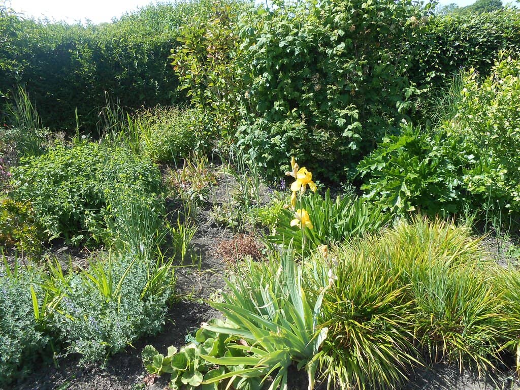 Historic Bridleway Views