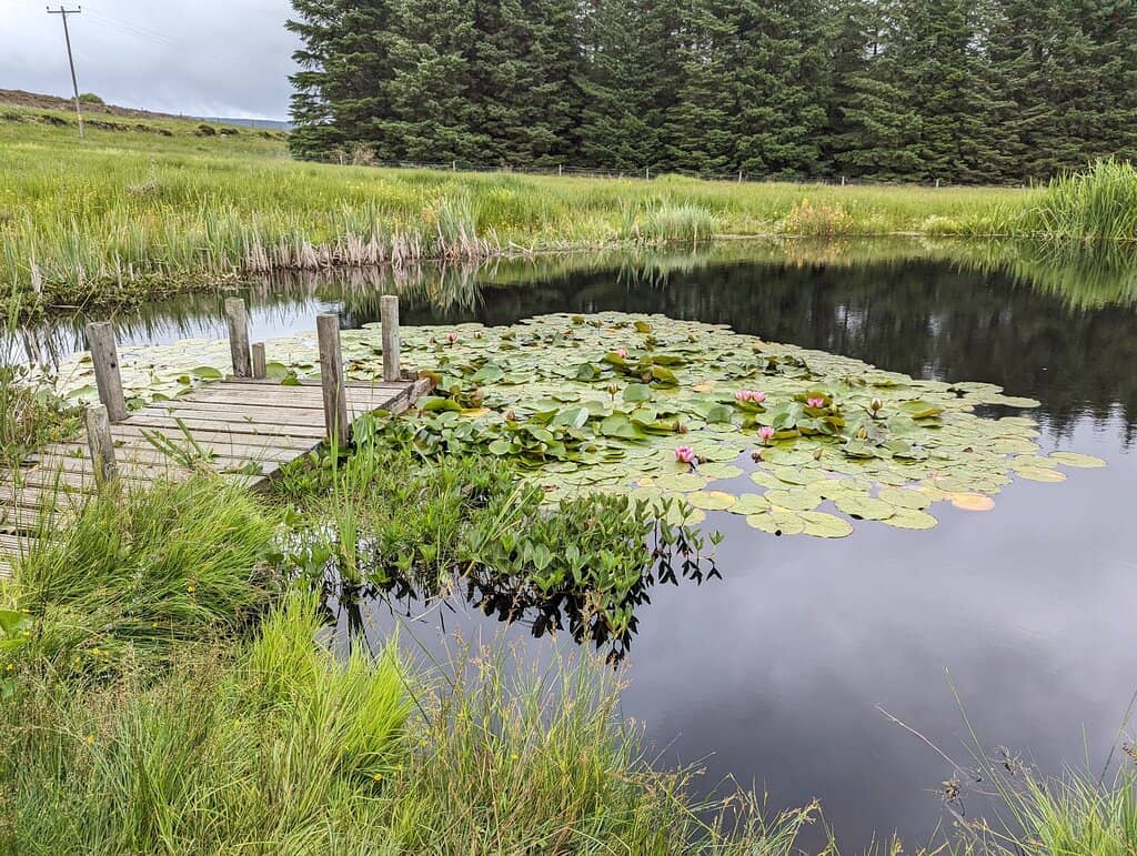 Panoramic Strathbraan Views