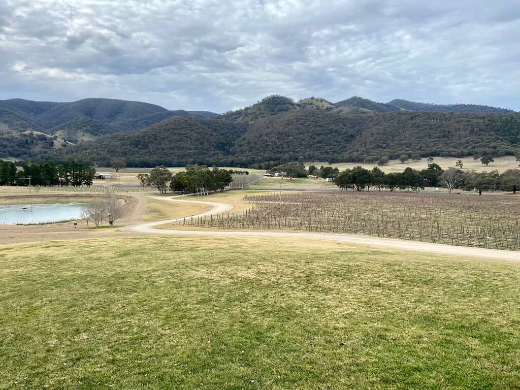 Gourmet Cheese & Salami Platters