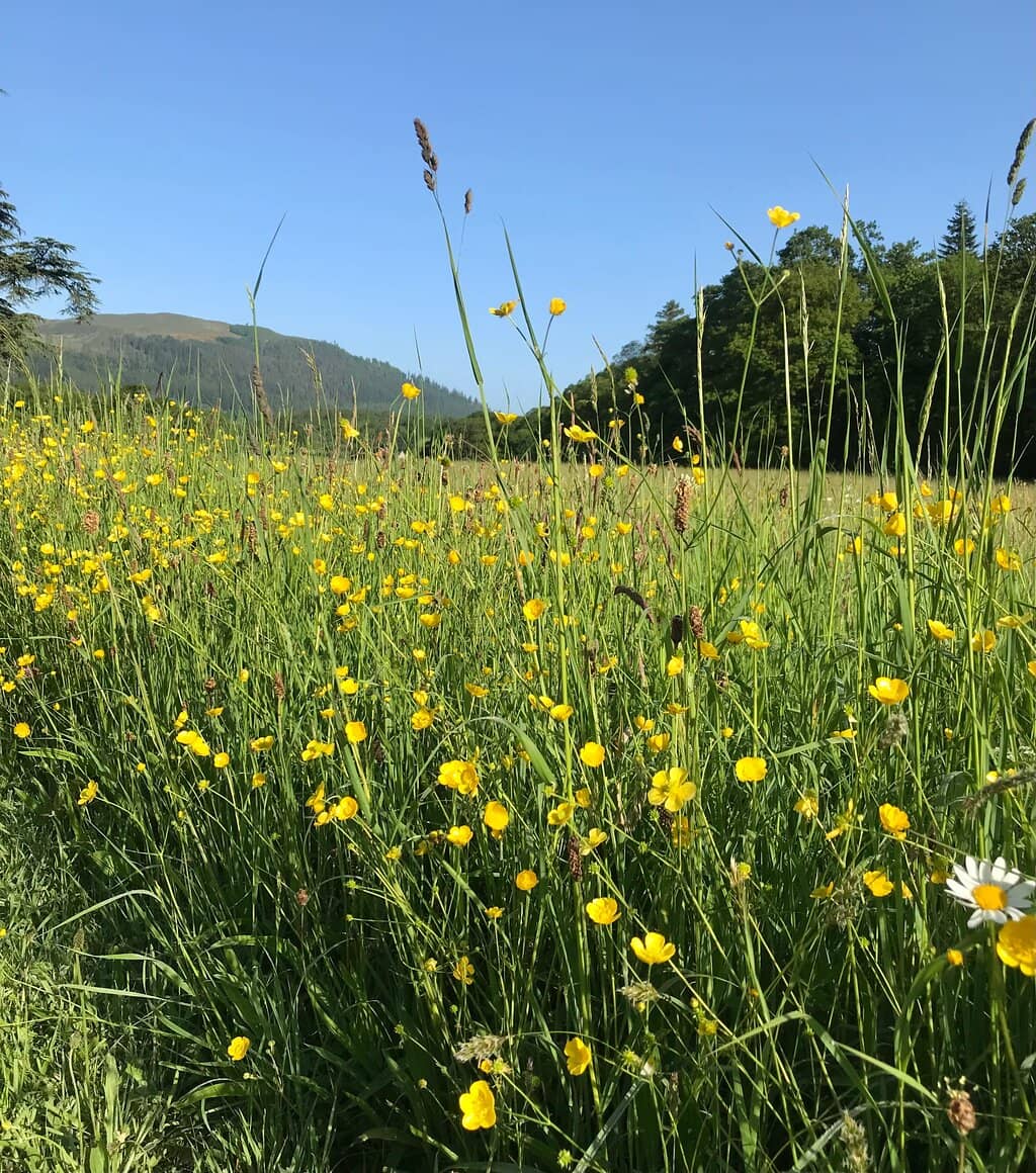 Adventure Playgrounds